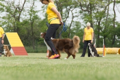 doghof Eröffnung 075