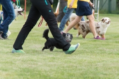 doghof Eröffnung 087