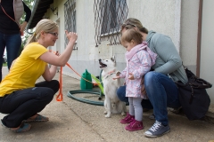 doghof Eröffnung 096