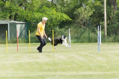 doghof Eröffnung 111