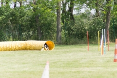 doghof Eröffnung 112