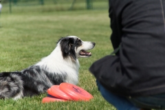 doghof Eröffnung 113