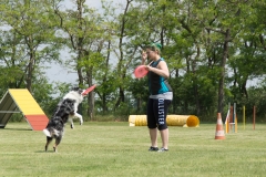 doghof Eröffnung 116