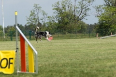 doghof Eröffnung 117