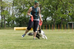 doghof Eröffnung 123