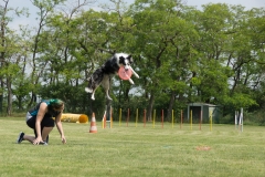 doghof Eröffnung 127