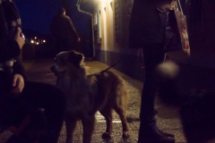 Doghof Punsch 24