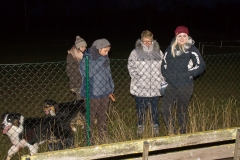 Doghof Punsch 25