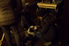 Doghof Punsch 32