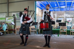 Erdbeerfest 2018 039
