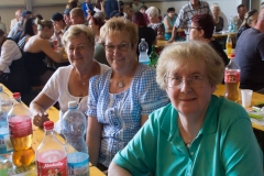 Erdbeerfest 2018 059