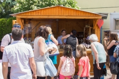 6-Erdbeerfest-002