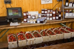 6-Erdbeerfest-004