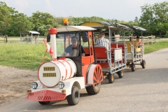 Fahrzeugweihe HLF2 2018_187