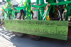 Faschingsumzug Breitensee NOE 084