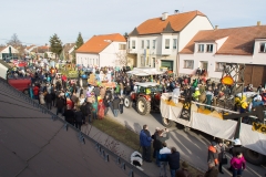Faschingsumzug Breitensee NOE 171