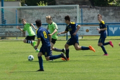 Fussball 011