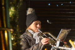 Hubicek Punsch 34