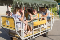 Kindergarten-Abschlussfest-2019-90_Bildgröße-ändern