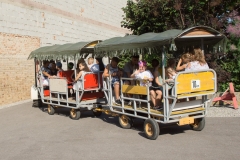 Kindergarten-Abschlussfest-2019-91_Bildgröße-ändern