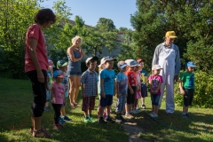 Bienen Kindergarten 02