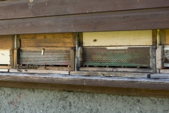 Bienen Kindergarten 07