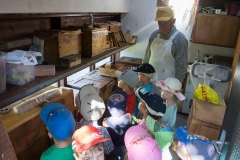 Bienen Kindergarten 08