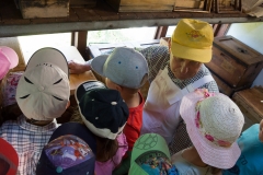 Bienen Kindergarten 09