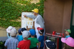 Bienen Kindergarten 10