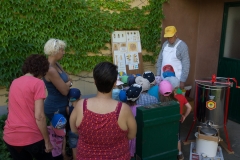 Bienen Kindergarten 12