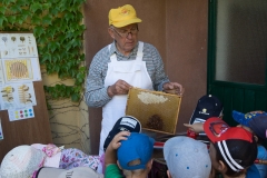 Bienen Kindergarten 17
