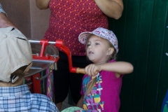 Bienen Kindergarten 21