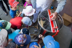 Bienen Kindergarten 22