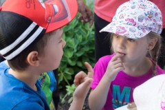 Bienen Kindergarten 23