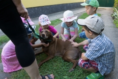 Bienen Kindergarten 26