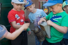Bienen Kindergarten 30