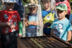 Bienen Kindergarten 31