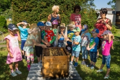Bienen Kindergarten 32