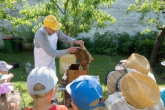 Bienen Kindergarten 34