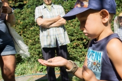 Bienen Kindergarten 38