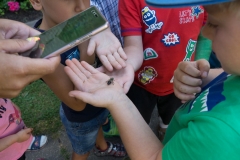 Bienen Kindergarten 39