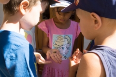 Bienen Kindergarten 40