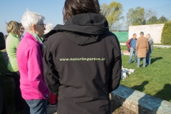 Krauterspirale 04