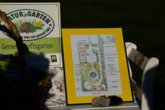 Krauterspirale 06