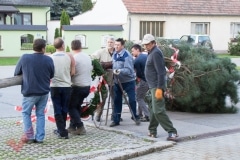 maibaum_04
