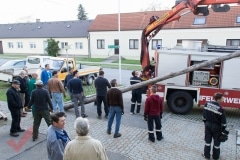 maibaum_07