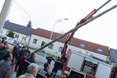maibaum_09