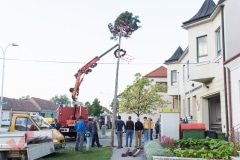 maibaum_11