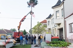 maibaum_12