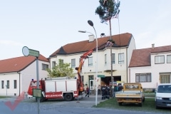 maibaum_16